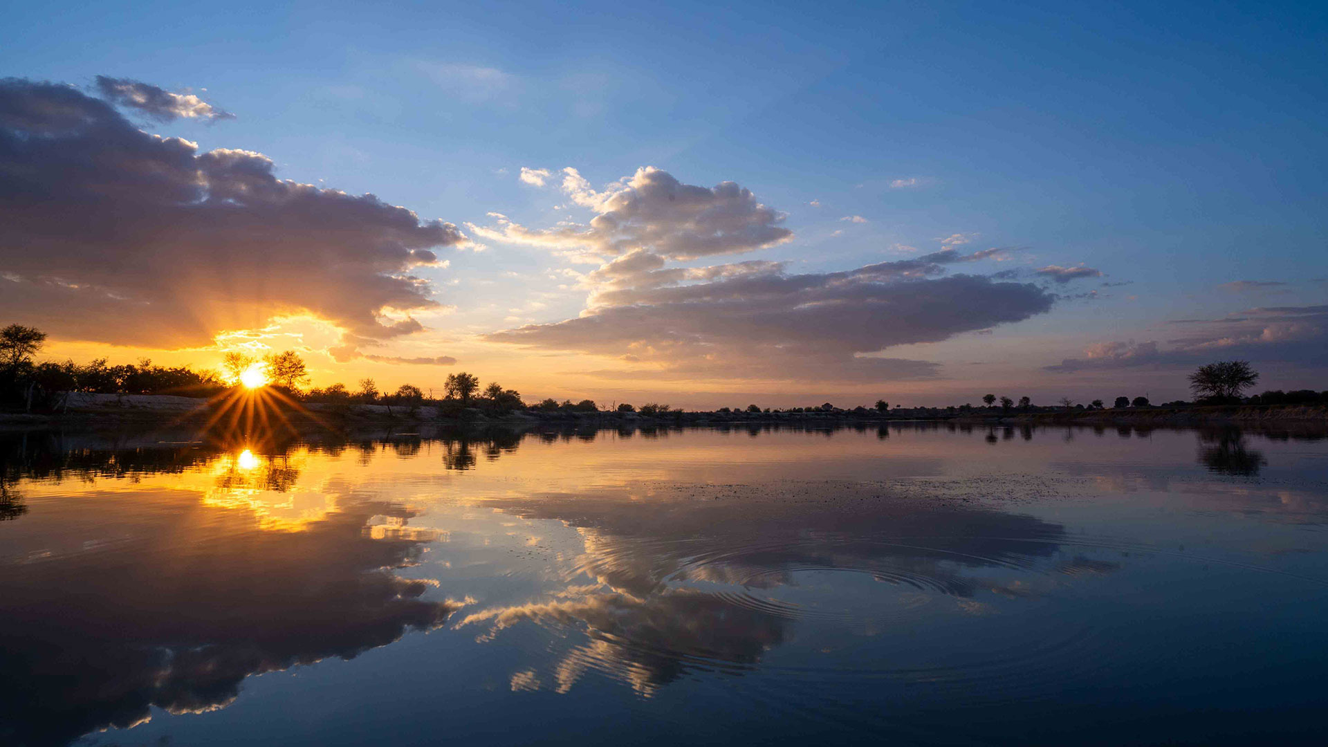 Dhun Project: Harmony of Nature and Progress