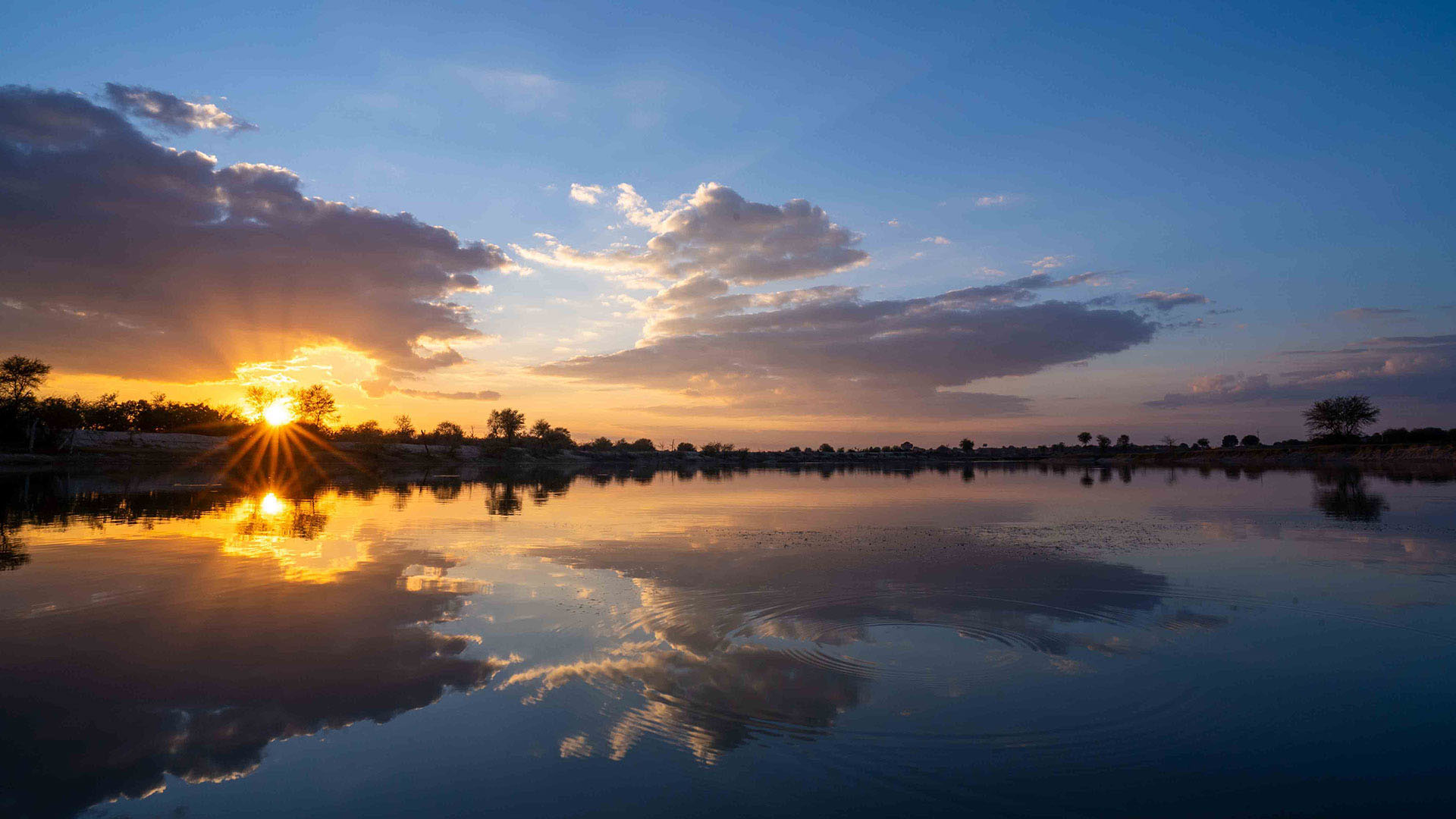 Dhun Project: Harmony of Nature and Progress